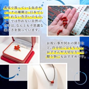 【数量限定】赤珊瑚グラデーション2連ネックレス (赤珊瑚:約約2.8～5.3mm) 珊瑚 サンゴ アクセサリー ネックレス wb7-003