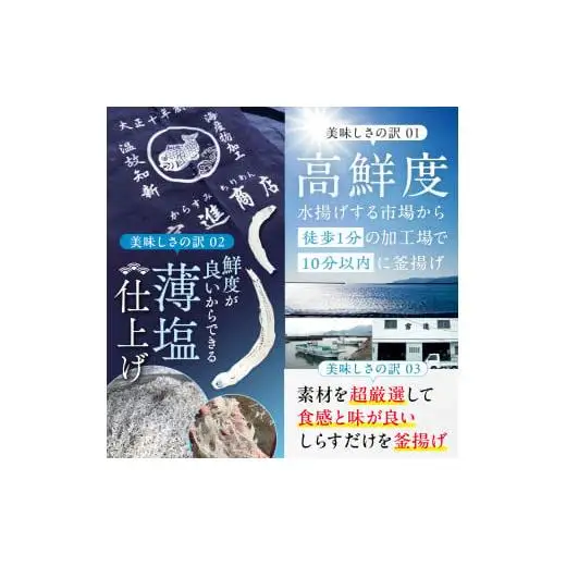 【 しらす 】 釜揚げしらす定期便 5ヶ月