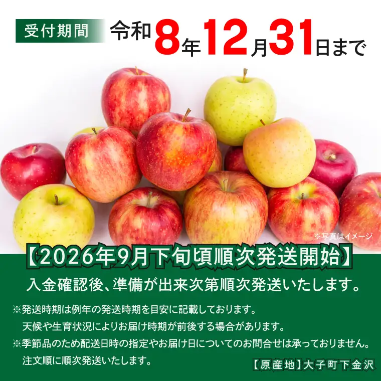 【先行予約】樹上完熟の奥久慈りんご詰め合わせ　園主おまかせ約5kg（12～23玉）【2026年9月下旬頃順次発送開始予定】斉藤りんご園第2直売所｜茨城県 大子町 林檎 果物 フルーツ 旬（CG002-1）