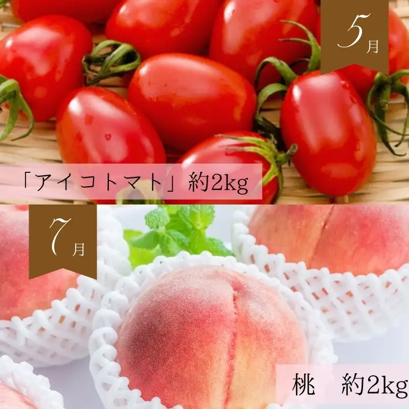 【全6回定期便】奇数月にお届け♪旬の野菜とフルーツ定期便！キウイ・清見オレンジ・アイコトマト・桃・ピオーネ・富有柿【tkb357】