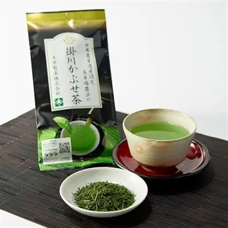 日本茶AWARD審査員奨励賞! 世界農業遺産認定　茶草場農法の掛川かぶせ茶【配送不可地域：離島・沖縄県】【1277565】