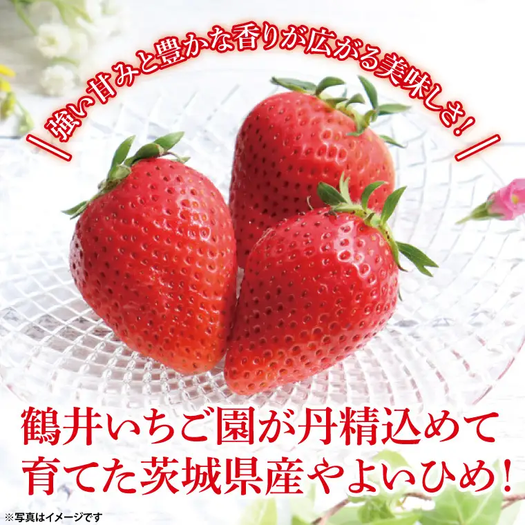 【1月中旬より順次発送】【数量限定】【朝採れ】いちご やよいひめ特選2パック【茨城県共通返礼品／石岡市】（KU-12）