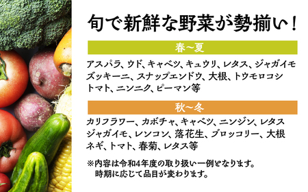 季節の野菜セットA 6～8品目 お届け回数 12回 お届け 定期便  12ヶ月 品目おまかせ BBQ 春 夏 秋 冬 野菜 料理 自宅用 岐阜県産 本巣市 新鮮 やさい 数量限定 冷蔵 道の駅 織部の里 [mt1617] 