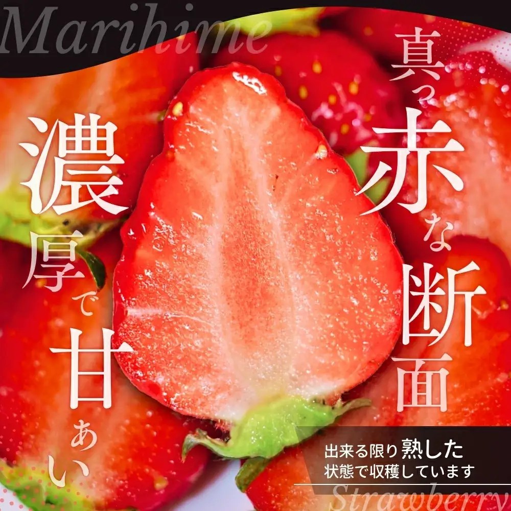 いちご まりひめ 【ご家庭用】 約300g×4パック M～3Lサイズ （サイズ指定不可）【tcs003】
