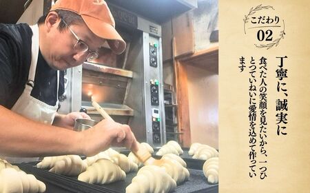 ＜6ヵ月定期便＞茨城県産小麦粉「ゆめかおり」を使用した こだわりのパン詰め合せ9種 全6回 | 茨城県 龍ケ崎市 食パン メロンパン カレーパン ベーグル コッペパン あんぱん クロワッサン 発酵バター 国産小麦 ゆめかおり 冷凍パン 冷凍 小分け パンセット パン ブレッド 全粒粉