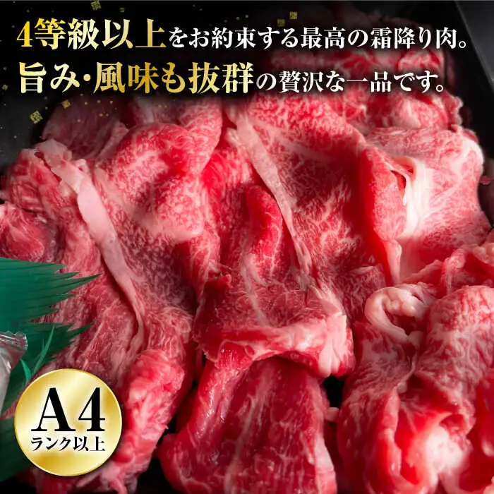 【全3回定期便】長崎和牛出島ばらいろ 肩ロース バラ 切り落とし 計1.2kg（400g×3回）[RCI022] 長崎和牛 切り落とし 定期便 長崎和牛 切り落とし 定期便九州 長崎