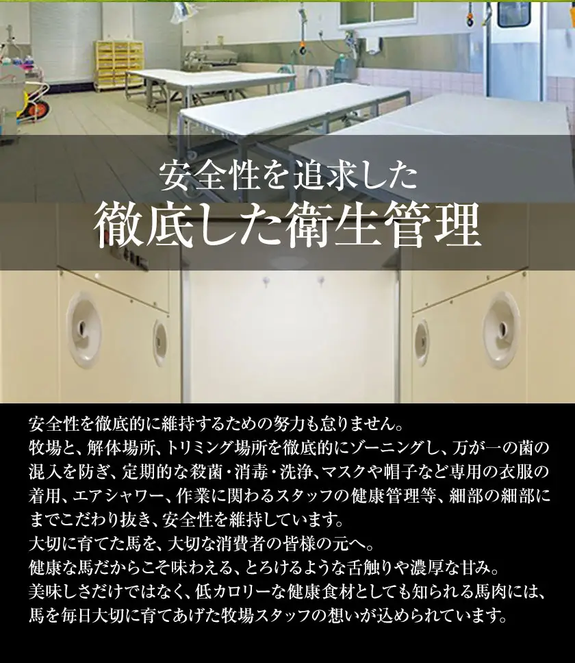 【3ヶ月定期便】赤身馬刺し1kg 【純国産熊本肥育】 馬刺し《お申込み翌月から出荷》