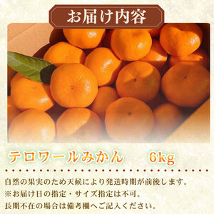 【12月-１月発送】 みかん テロワール 6kg 青島みかん テロワールみかん いたくら農園