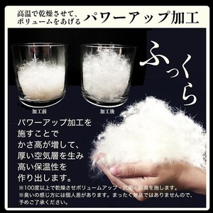 羽毛布団 ダブル ホワイトダックダウン93％ 訳あり 布団 プレミア2