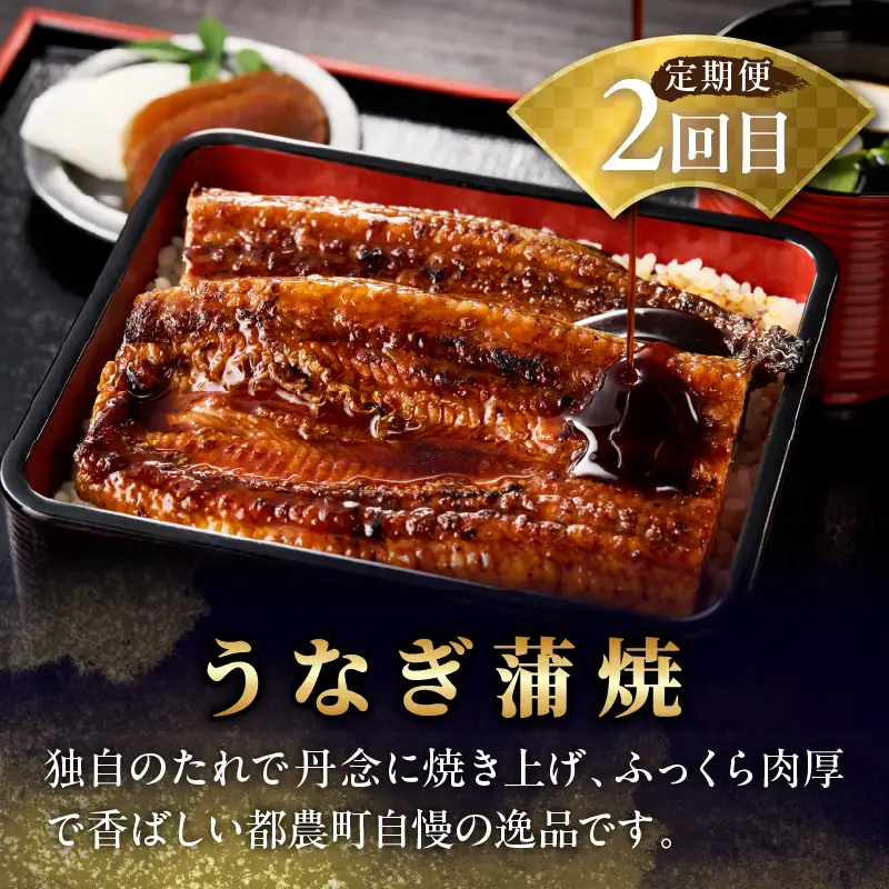 ≪定期便≫＼1か月に2回お届け!!／都農ワイン×うなぎ蒲焼★最強コンビ 酒 飲料 鰻 魚介 国産_T999-0035