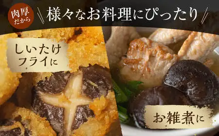 しいたけ粉末×しいたけスライス 30g 干し椎茸 合同会社knot J-129