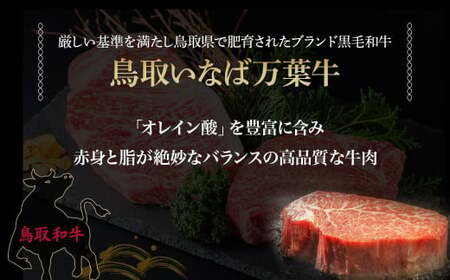 【定期便3回】 鳥取いなば万葉牛 ヒレステーキ 400g × 3回 定期便 ヒレ ステーキ 肉