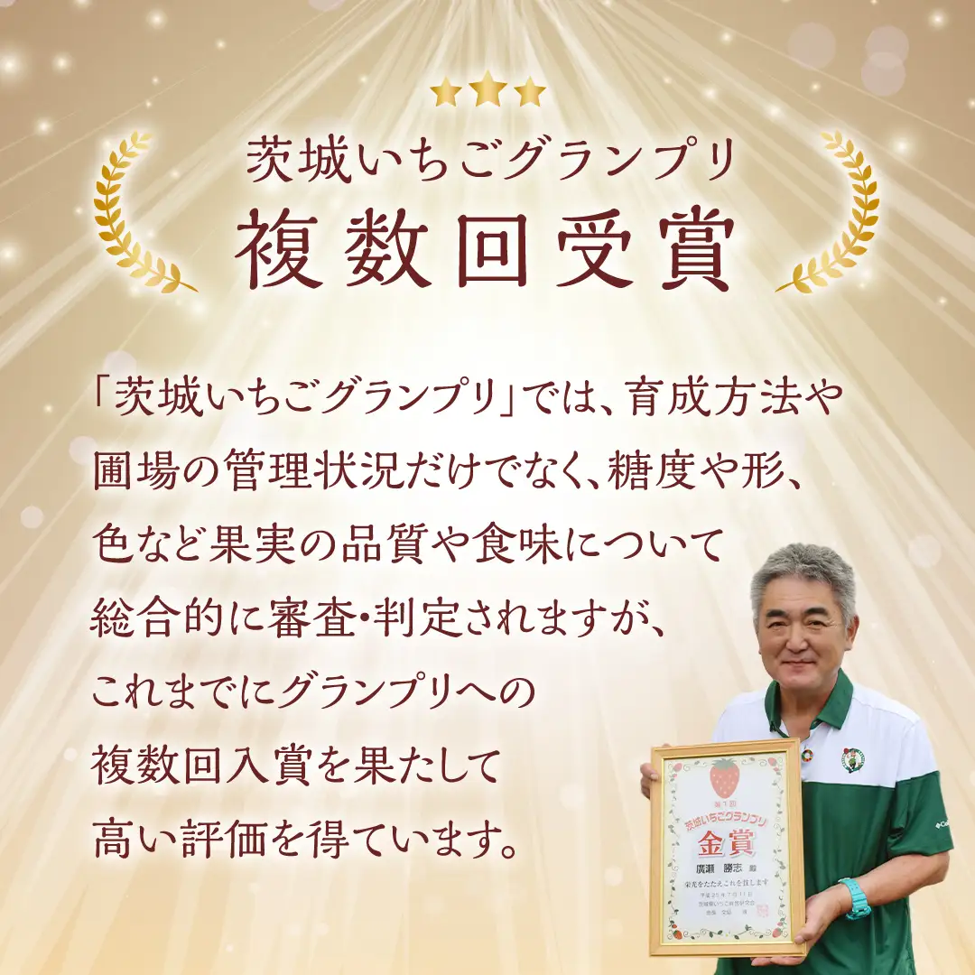 いちご いばらキッス 完熟 約1040g 茨城いちごグランプリ受賞農園