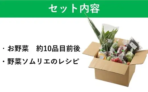 野菜ソムリエがセレクト!「うすき旬のお野菜セット」