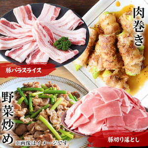 【定期便 全6回】九州産豚肉 生活応援定期便(計13.95kg) 定期便 豚肉 ぶた肉 肉 国産 九州産 切り落とし 切落し 小分け 真空パック チャック付き 野菜炒め 豚丼 カレー t0075-001