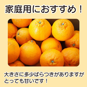訳あり 不知火 約3kg L～2L 不知火 不知火 柑橘 みかん
