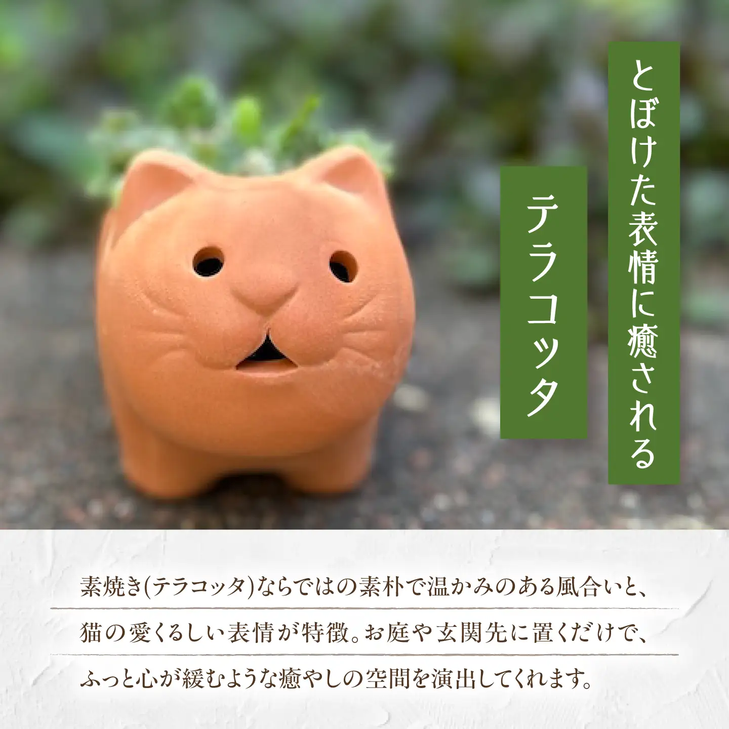 多肉植物 寄せ植え ねこ型 多肉植物 BLAW007