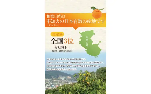 不知火 家庭用 5kg+250g（痛み補償分）/ みかん 訳あり しらぬい 光センサー 選別 デコポン 柑橘 晩柑 和歌山 甘い 14000円 ※2027年2月上旬～4月上旬ごろに順次発送予定 ※北海道・沖縄・離島への配送不可【ikd010-c-5C】