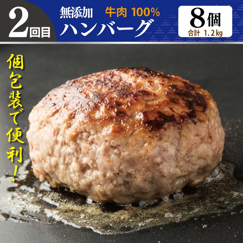 店主セレクト 食べ比べ 定期便 全4回（ハンバーグ／しらす／スンドゥブチゲ／サムギョプサル）【毎月配送コース】