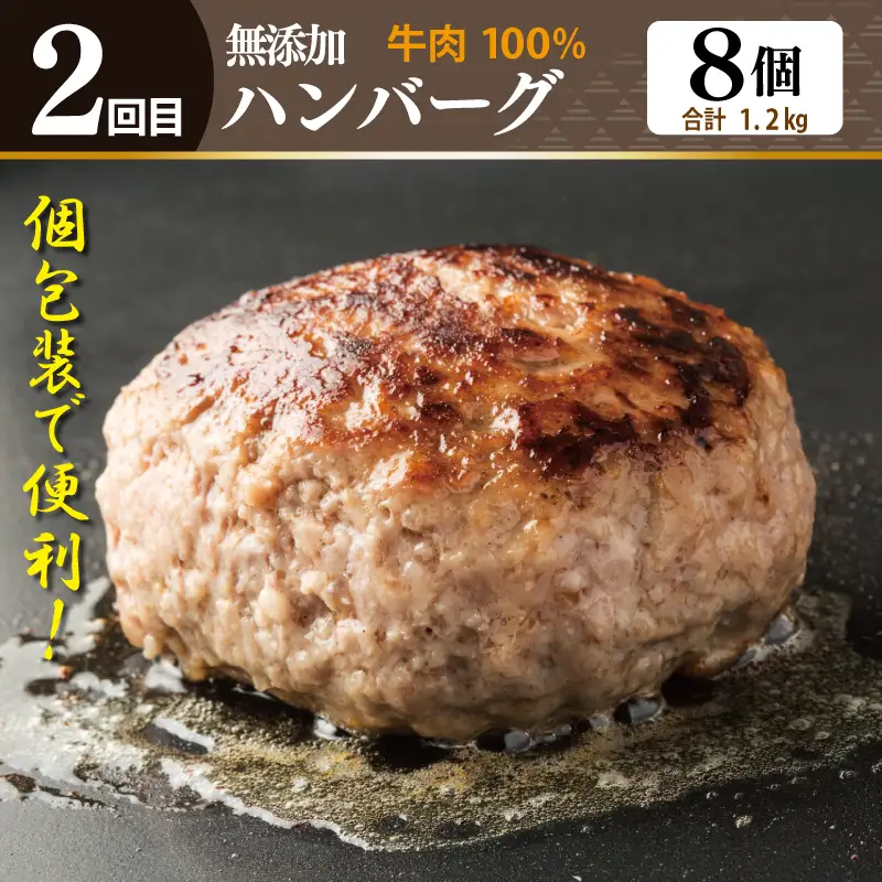 店主セレクト ハンバーグ／しらす 食べ比べ 定期便 全3回【毎月配送コース】