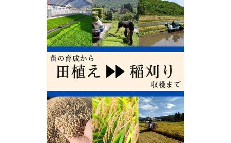 令和7年産 ブランド米 魚沼産コシヒカリ 精米 10kg（5kg×2袋） 米 コメ こめ お米 おこめ 白米 こしひかり 新潟県産 人気 お取り寄せ