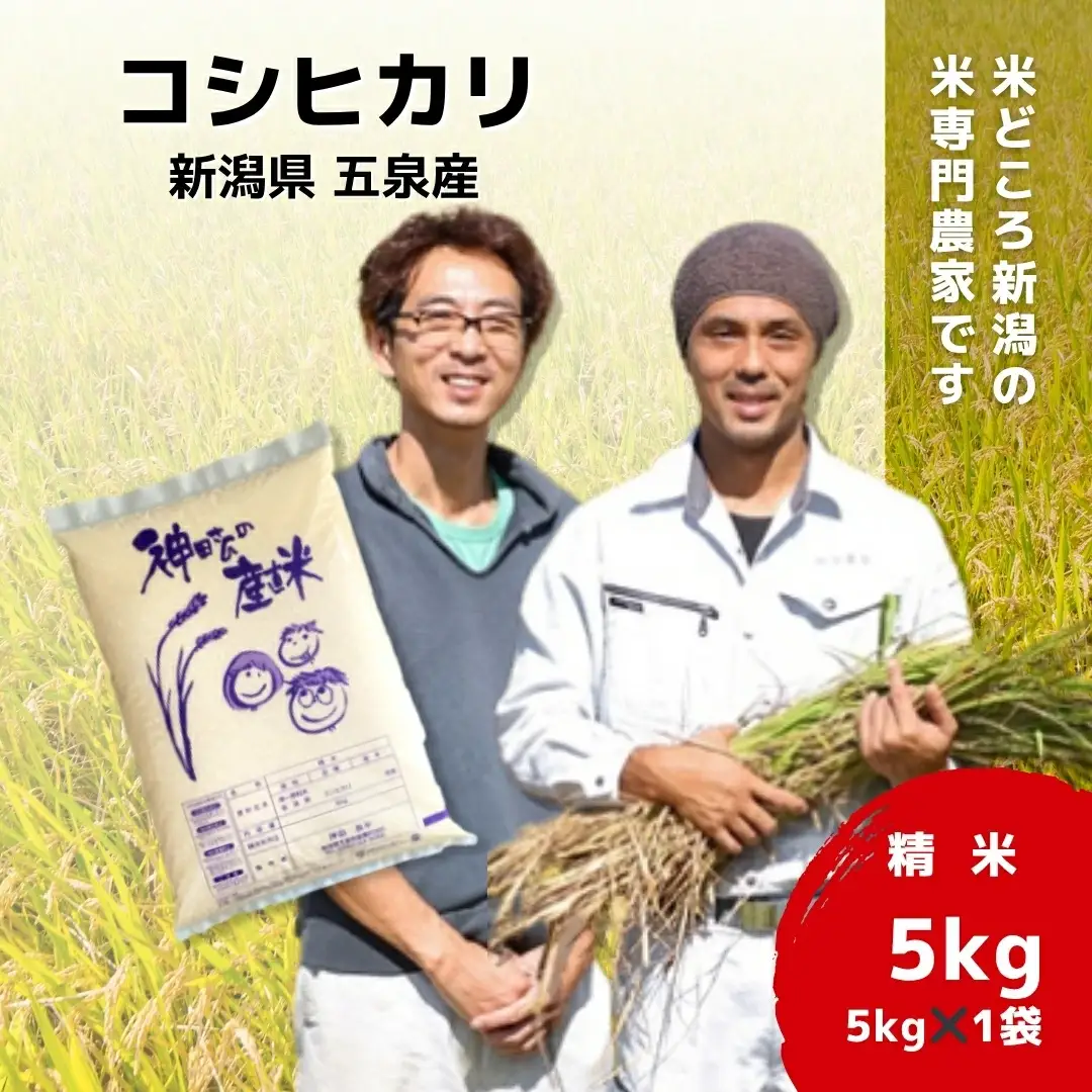 【先行予約】令和8年産米【6回定期便】わくわく農場のコシヒカリ 5kg | コシヒカリ 白米 米 新潟県産 五泉市