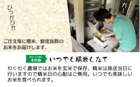 【先行予約】令和8年産米【3回定期便】わくわく農場のコシヒカリ 15kg(5kg×3袋) | コシヒカリ 白米 米 新潟県産 五泉市