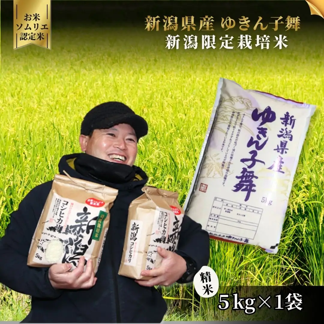 【先行予約】令和8年産米〈6回定期便〉ゆきん子舞 5kg | 新潟県 ゆきん子舞