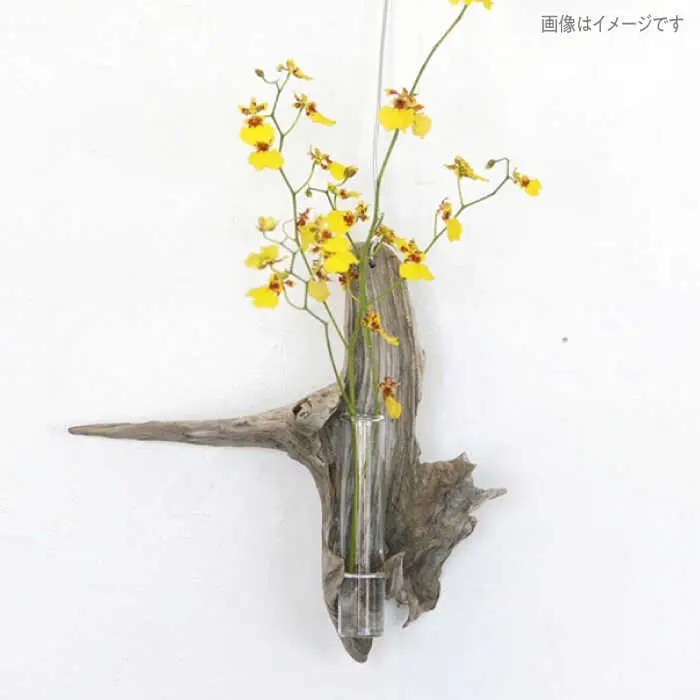 Driftwood FlowerBase 流木一輪挿し フラワーベース 糸島市 / WOOD'ARBRE(ウッドラヴル)【TIME】 インテリア 雑貨 一輪挿し [ADC003]