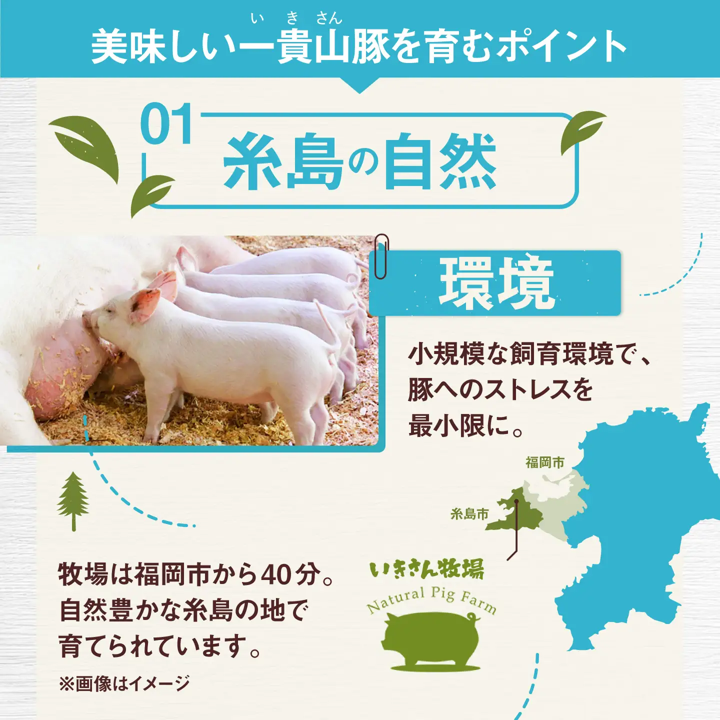一貴山豚 バラスライス 計1kg(250g×4p) 糸島市 / いきさん牧場 豚肉 冷凍 [AGB041]