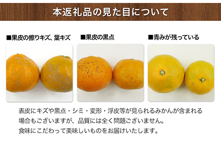 みかん ご家庭用 約10kg 坂田農園 みかん