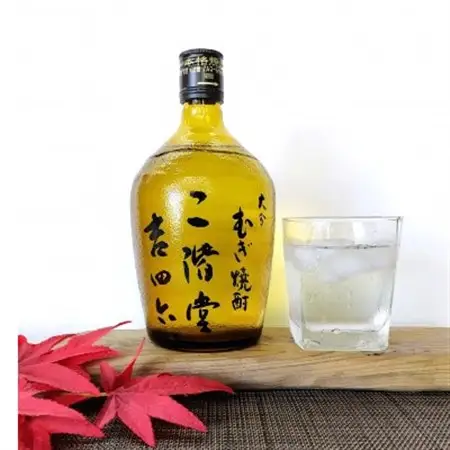 【毎月定期便】二階堂吉四六瓶25度3本とやつがい30度3本(720ml)6本セット全6回_大分むぎ焼酎 二階堂 麦焼酎 焼酎 酒 酒セット 焼酎セット  飲み比べ  まとめ買い 酒の定期便_【4055491】
