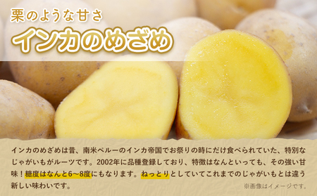 インカのめざめ 5kg じゃがいも 飯山農場《9月中旬-3月上旬頃出荷》芋 ジャガイモ 野菜 送料無料 北海道 浦幌町 