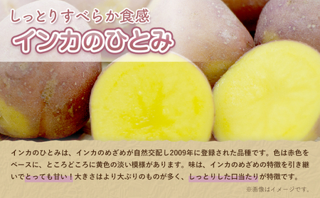 インカのひとみ 5kg じゃがいも 飯山農場《9月中旬-3月上旬頃出荷》芋 ジャガイモ 野菜 送料無料 北海道 浦幌町 