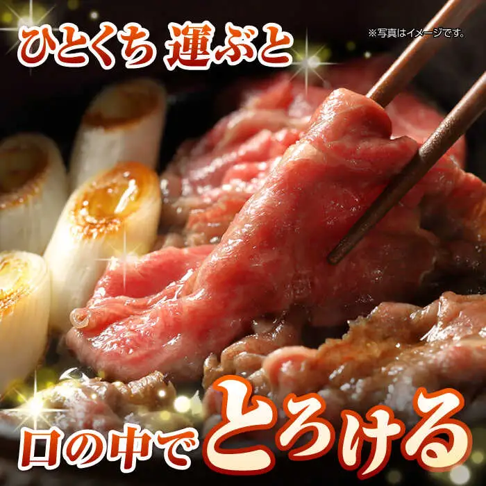 【最高級A5ランク】長崎和牛 極上 サーロインスライス 400ｇ（すき焼き・しゃぶしゃぶ用）《壱岐市》【肉の相川】 牛肉 牛 和牛  霜降り 霜ふり しゃぶしゃぶ すき焼 すき焼き 贈答 ギフト 贈り物 お中元 お歳暮 冷凍配送 A5 [JGB018]