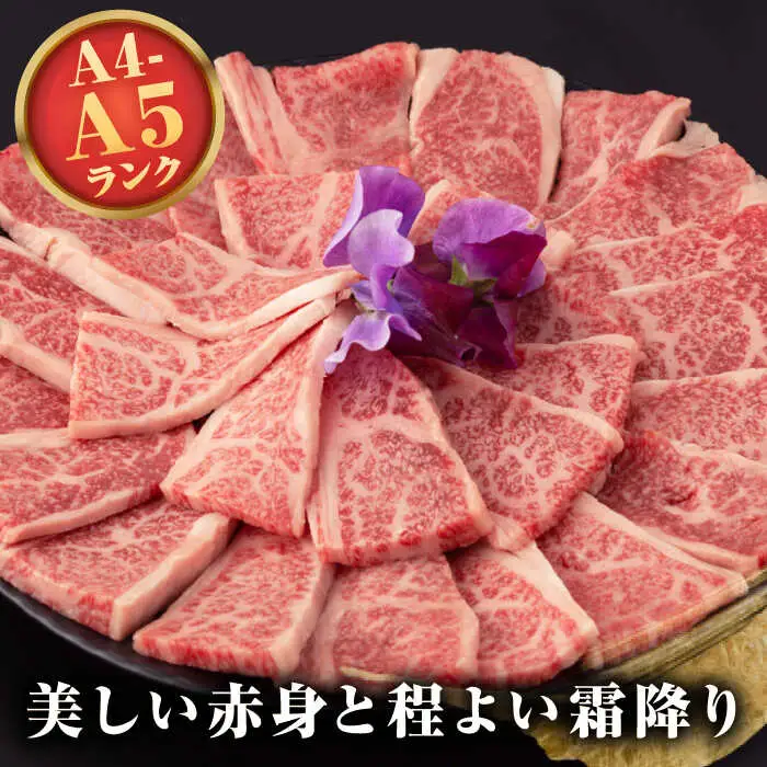 【A4～A5ランク】長崎和牛 焼肉用 上カルビ 500g《壱岐市》【野中精肉店】 牛 牛肉 和牛 赤身 焼肉 焼肉用 カルビ BBQ バーベキュー ギフト 贈答用 冷凍配送 A4 A5  [JGC010]