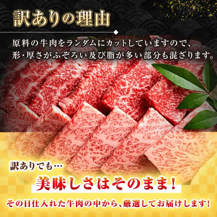 【訳あり】【A4～A5ランク】長崎和牛 焼肉切り落とし 500g (肩ロース・バラ）《壱岐市》【株式会社MEAT PLUS】 肉 牛肉 黒毛和牛 焼き肉 ご褒美 焼肉 焼肉用 ギフト 贈答用 ご褒美 冷凍配送 A4 A5 [JGH021]