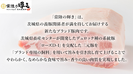 【 常陸の輝き 】 豚 ロース＆バラスライス＆切り落とし＆挽肉 贅沢 セット（合計約3.4kg） (茨城県共通返礼品)