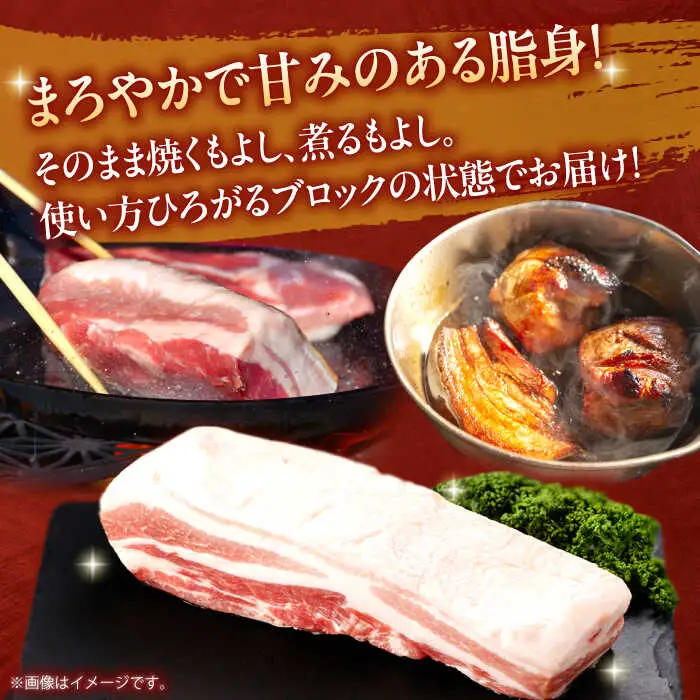豚肉 ブロック 約750g NAC505 豚肉