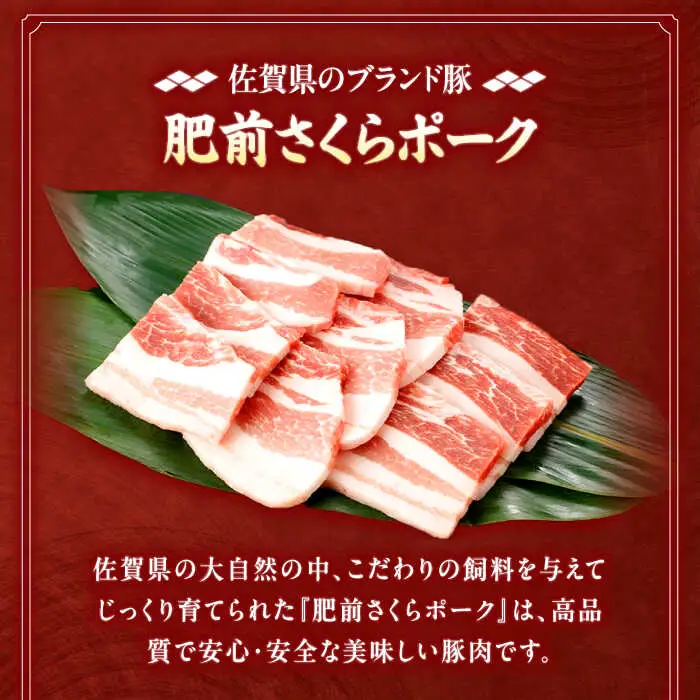 【定期便】 焼肉用 豚バラ肉 総計14.4kg NAC606 豚肉 焼肉 全12回