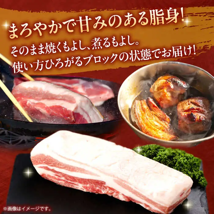 【定期便】 豚肉 ブロック 総計18kg NAC618 豚肉 全12回