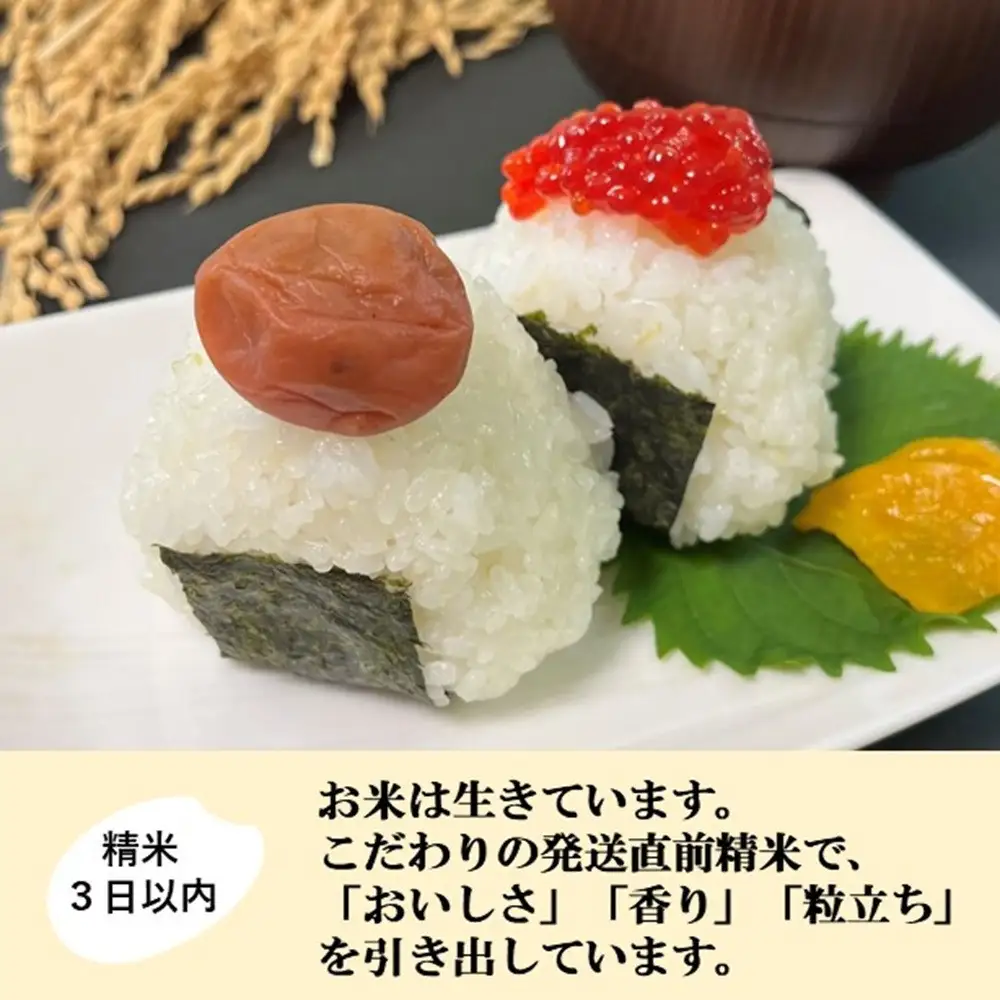 【令和8年産】【日本農業賞大賞】ひゃくまん穀27kg精白米 能美市 お米 精米銘柄米 精米したて 一等米