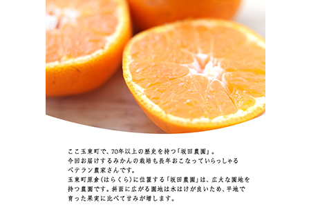 先行予約 みかん 約5kg 坂田農園 みかん