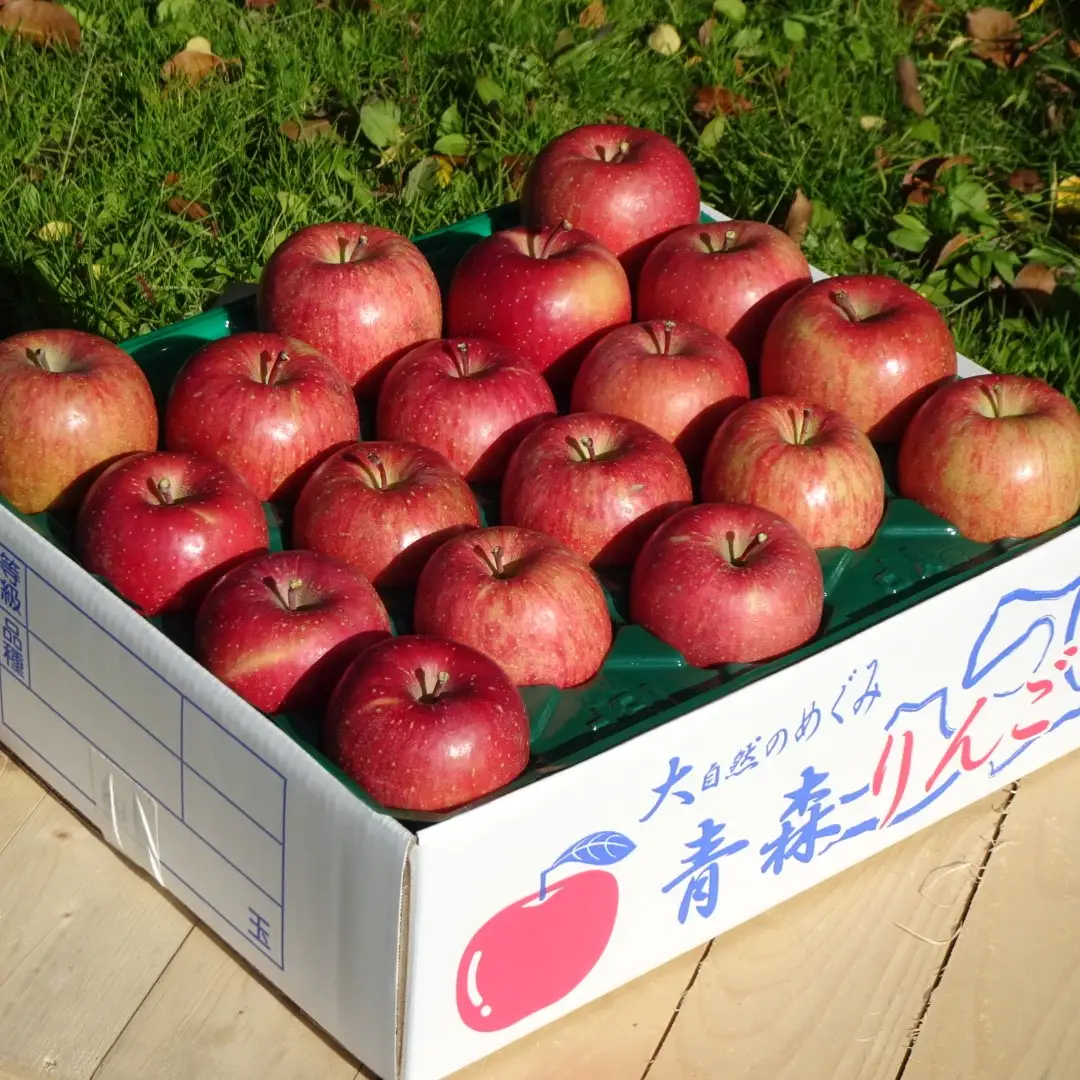 【ふるなび限定】【2027年1月中旬発送】 りんご 約5kg サンふじ【家庭用】青森県産 りんご FN-Limited-SP