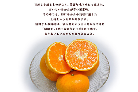 【ご家庭用】『清晃アグリ』のご家庭用みかん★約4kg(2S-2Lサイズ)《11月中旬-12月末頃出荷》