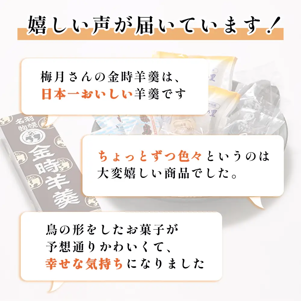【熨斗対応】御菓子司梅月　銘菓詰め合わせセット（5種13個入）【1110701】