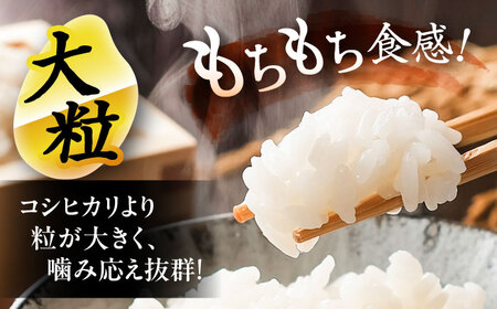にこまる 白米 10kg / 戸倉トラクター[AECS056] 国産米 国産