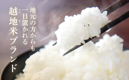 【先行予約】【令和7年産 新米】越地 (こいち) 産 コシヒカリ (玄米) 計5kg 【2025年9月中旬以降順次発送予定】[m24-a009]