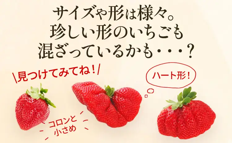 いちご あまおう 約275g×4P R9年1月下旬以降発送 いちご