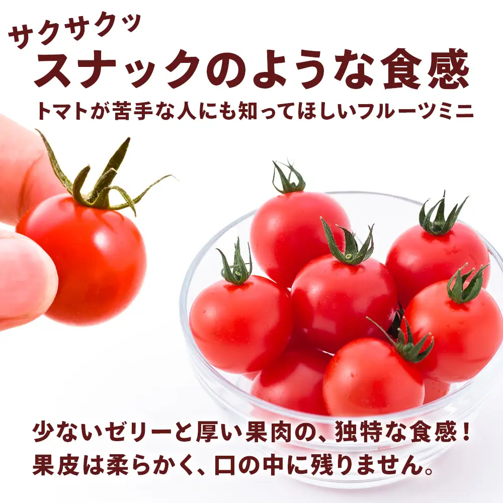 【2027年先行予約】 【朝採れ最短発送！】フルーツミニ ミニトマト1kg